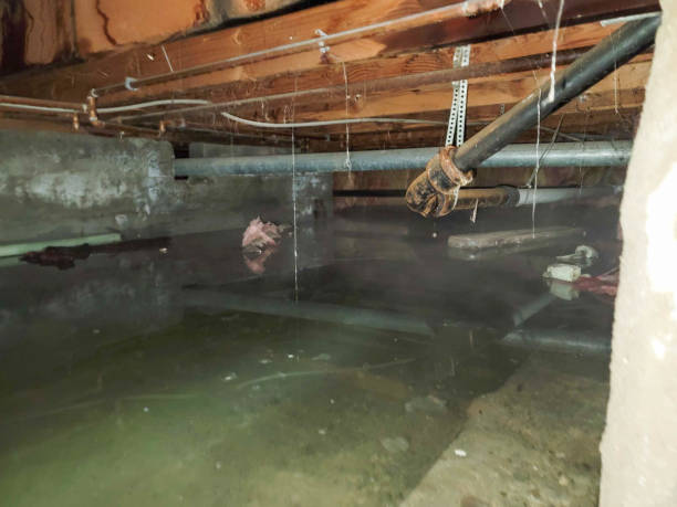Best Flood damage cleanup  in Cherry Hill, VA