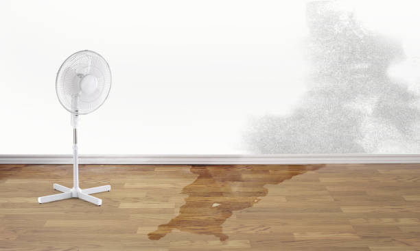 Best Professional water damage repair  in Cherry Hill, VA