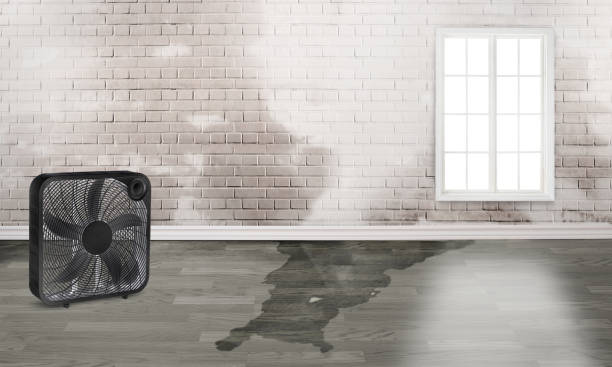 Best Local water damage restoration  in Cherry Hill, VA