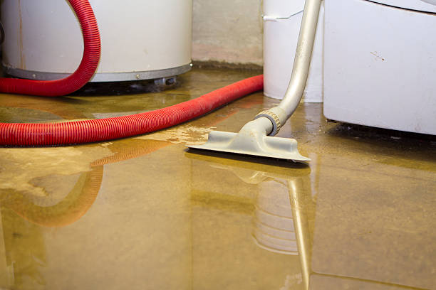  Cherry Hill, VA Water damage restoration Pros