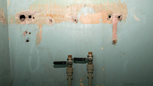 Best Water damage restoration services  in Cherry Hill, VA