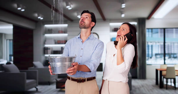 Best Carpet water damage restoration  in Cherry Hill, VA
